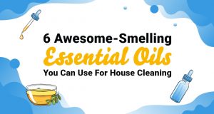 Cleaning your Cleaning Supplies - Mulberry Maids Blog 